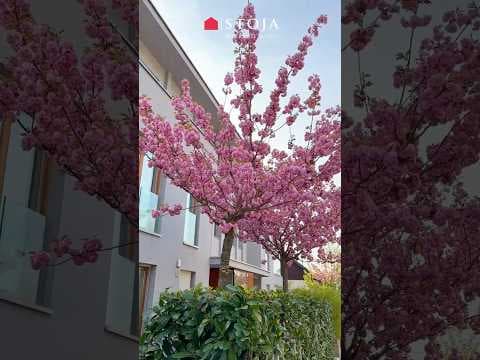 Exclusive rental in Rožna dolina, Ljubljana